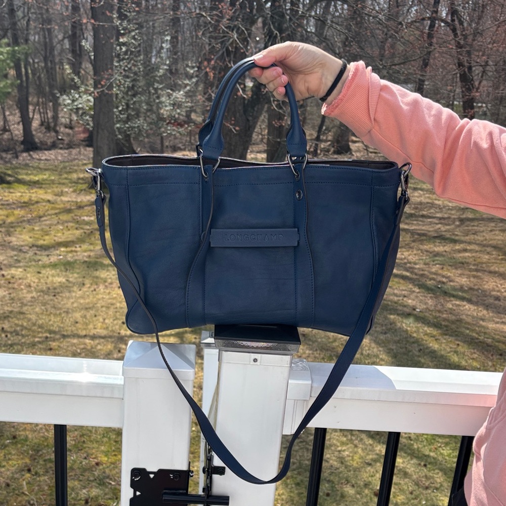 Longchamp 3D handbag